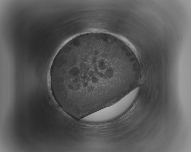 X0000102461287200808151359