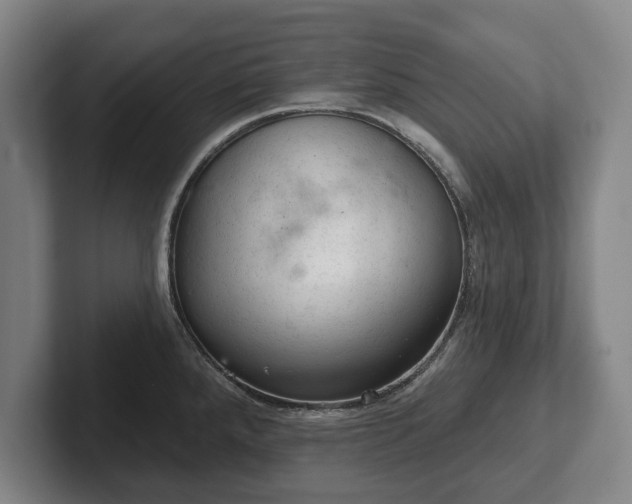 X0000102461288200808151359