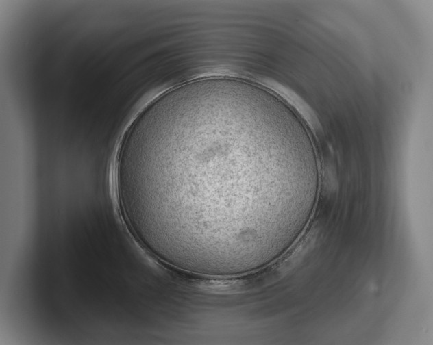 X0000102461290200808151359