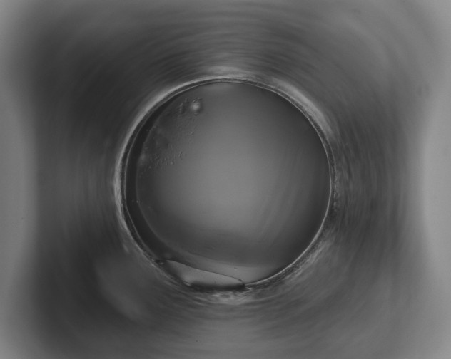 X0000102461291200808151359