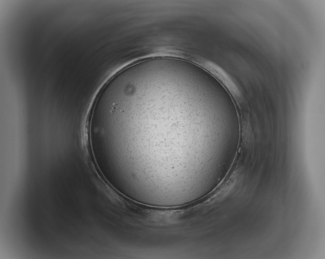 X0000102461292200808151359