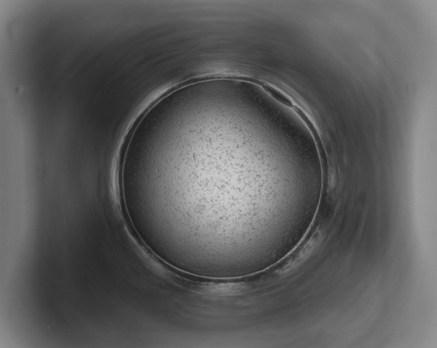 X0000102461293200808151359