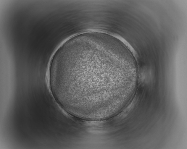 X0000102461294200808151359