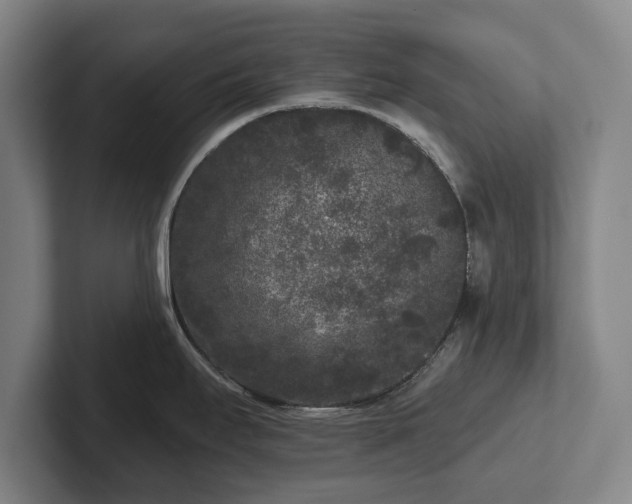 X0000102461295200808151359