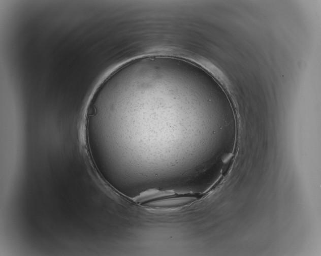 X0000102461296200808151359