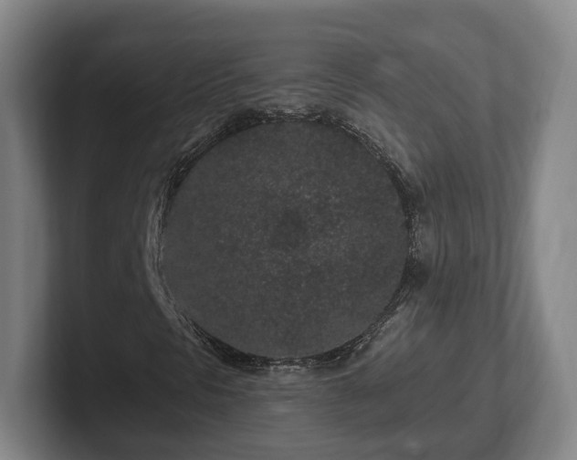 X0000102461297200808151359