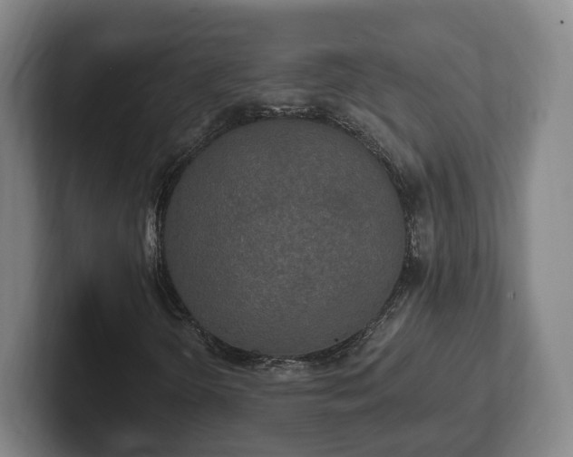 X0000102461298200808151359