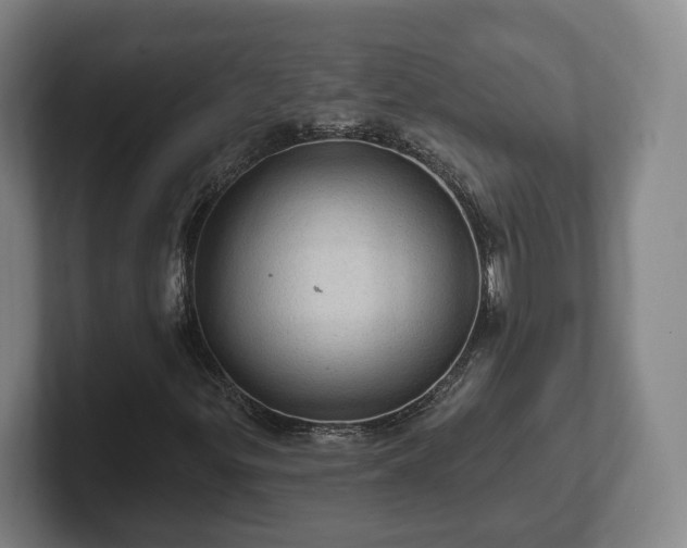 X0000102461299200808151359