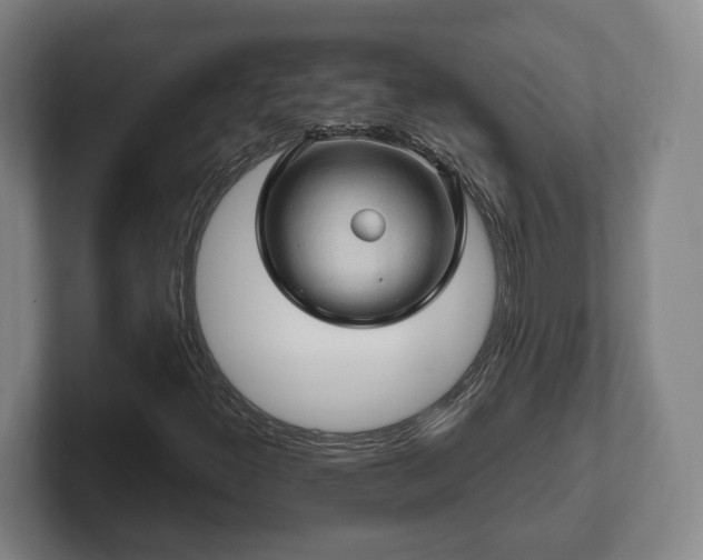 X0000102461300200808151359