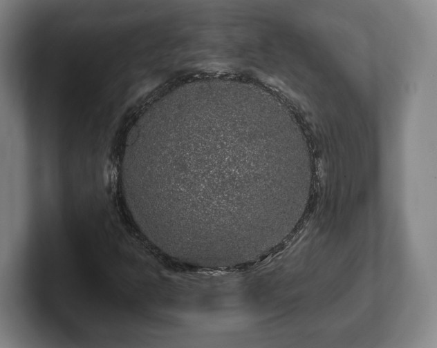 X0000102461302200808151359