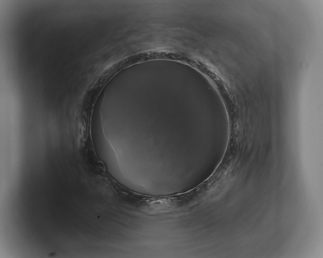 X0000102461303200808151359