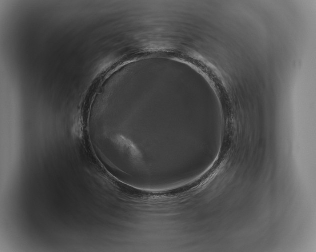 X0000102461306200808151359