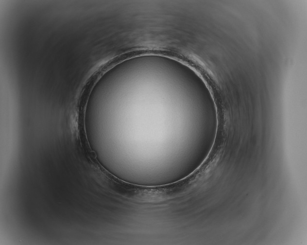 X0000102461307200808151359