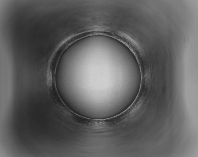 X0000102461310200808151359