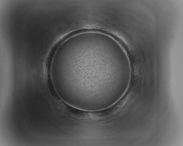 X0000102461311200808151359