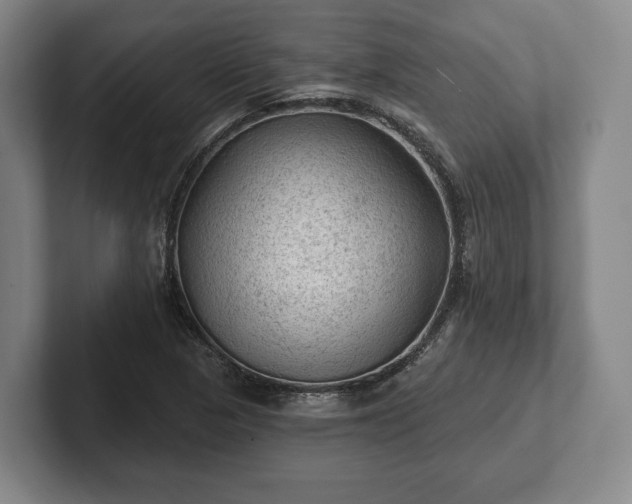 X0000102461313200808151359