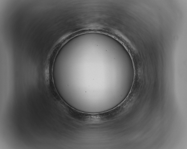 X0000102461315200808151359