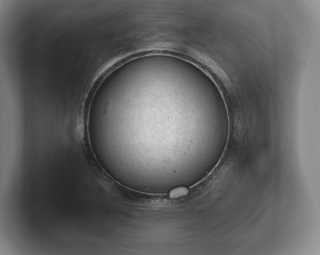 X0000102461316200808151359