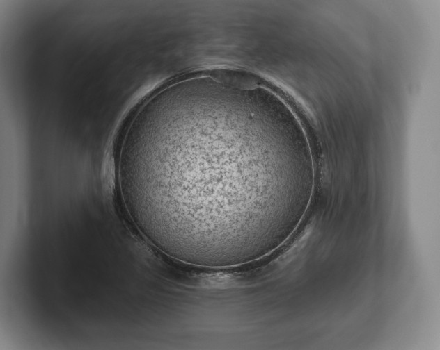 X0000102461317200808151359