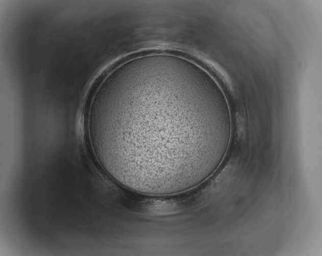 X0000102461318200808151359