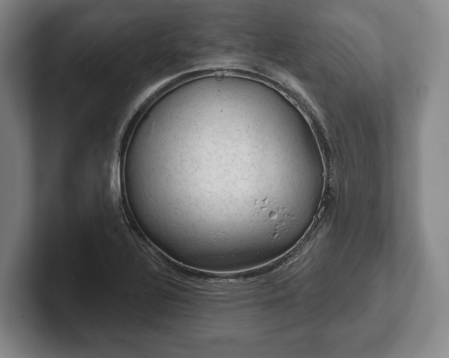 X0000102461320200808151359