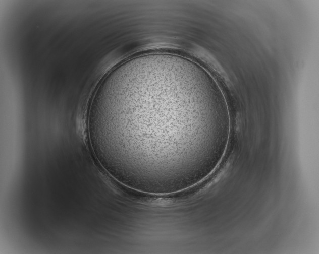 X0000102461321200808151359