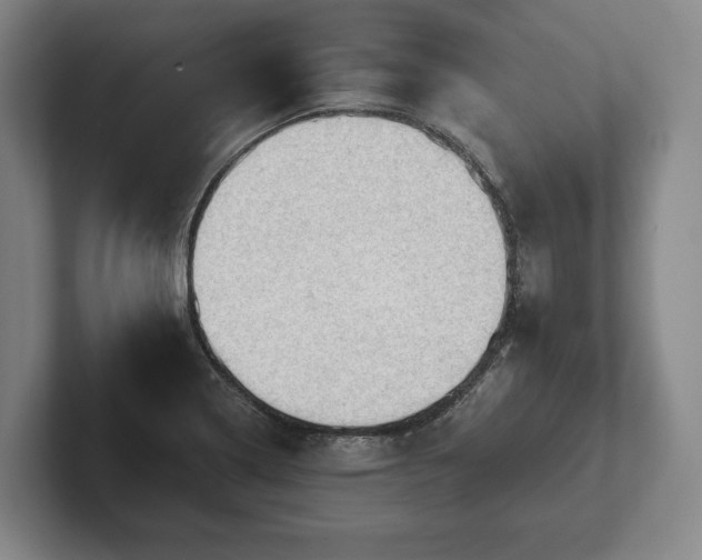 X0000102461322200808151359