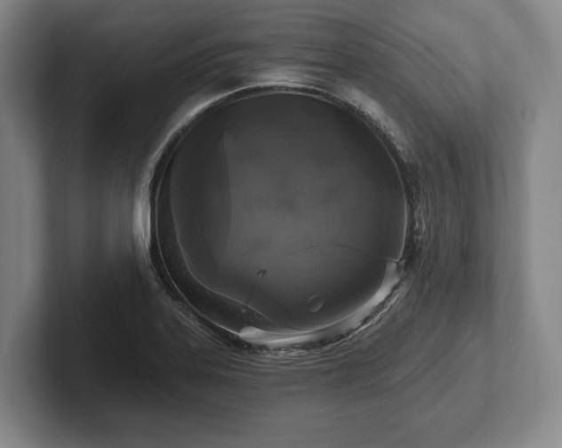 X0000102461323200808151359