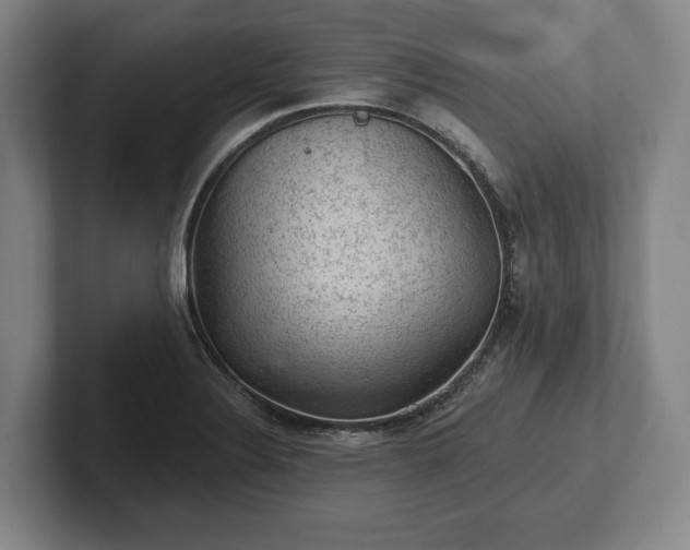 X0000102461324200808151359