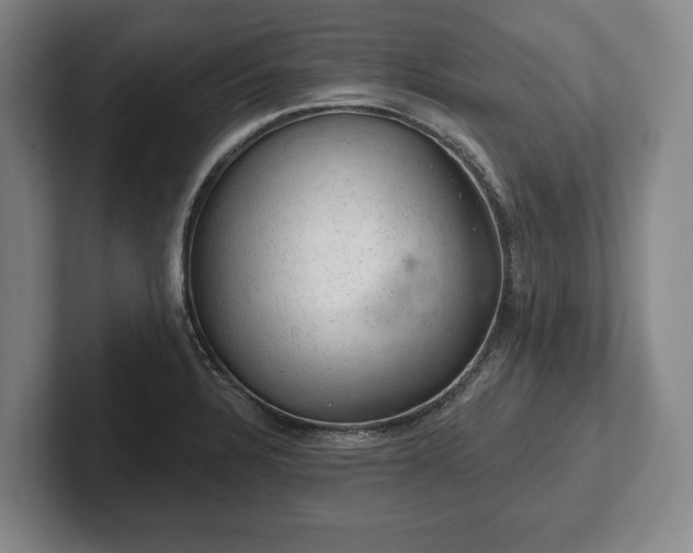 X0000102461328200808151359