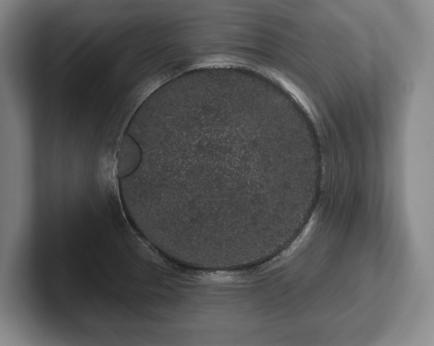 X0000102461329200808151359