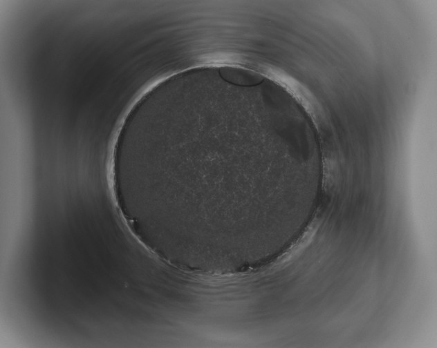 X0000102461331200808151359