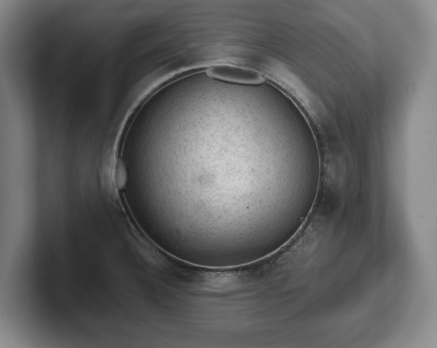 X0000102461332200808151359