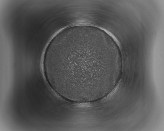 X0000102461333200808151359