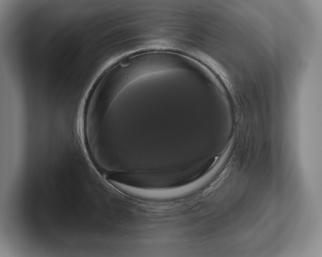 X0000102461334200808151359