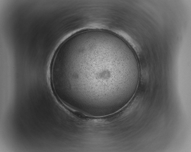 X0000102461335200808151359