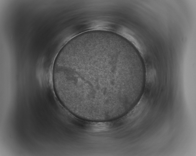 X0000102461338200808151359