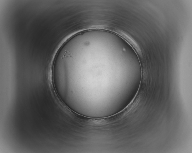 X0000102461340200808151359