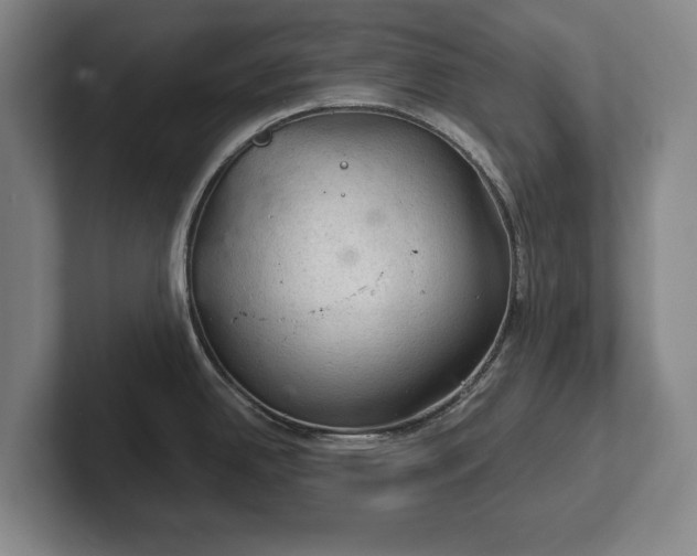 X0000102461342200808151359