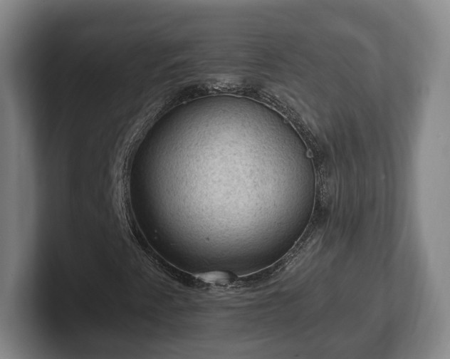 X0000102461345200808151359