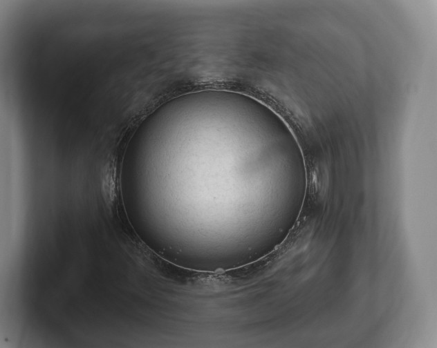 X0000102461348200808151359