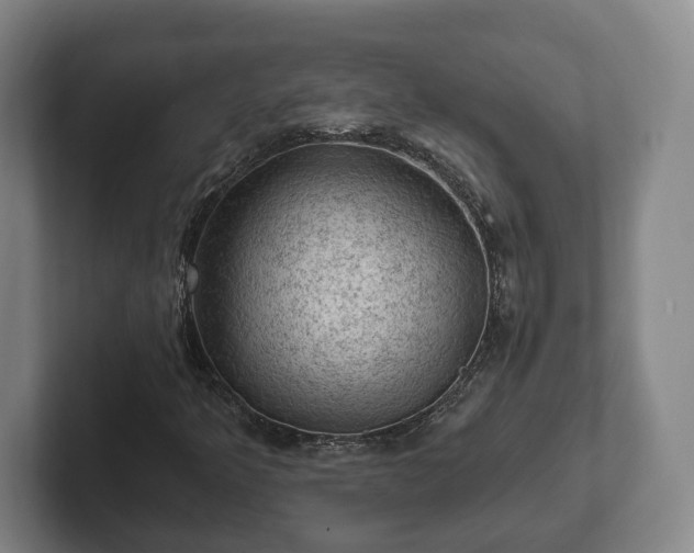 X0000102461349200808151359