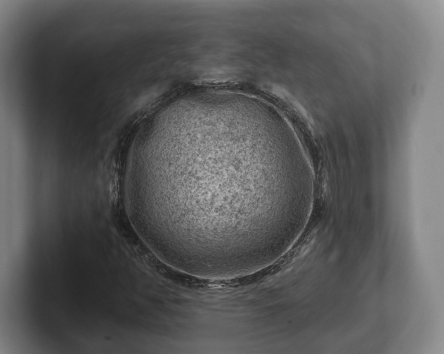 X0000102461350200808151359