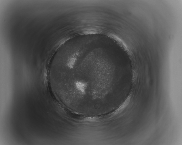 X0000102461353200808151359