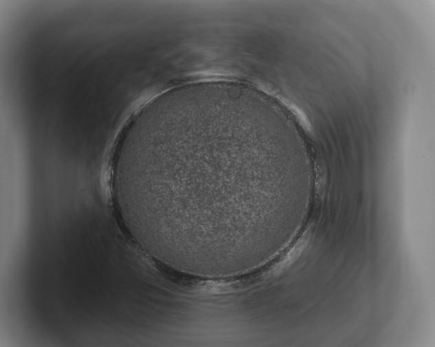 X0000102461357200808151359