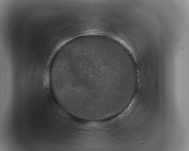 X0000102461358200808151358