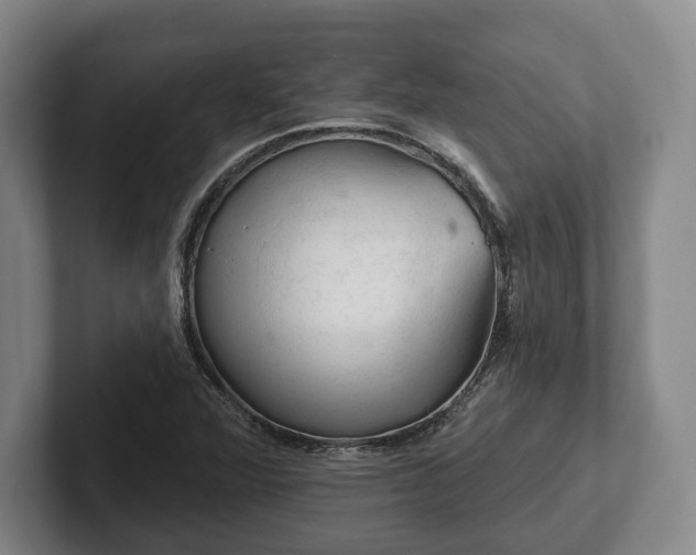 X0000102461360200808151358