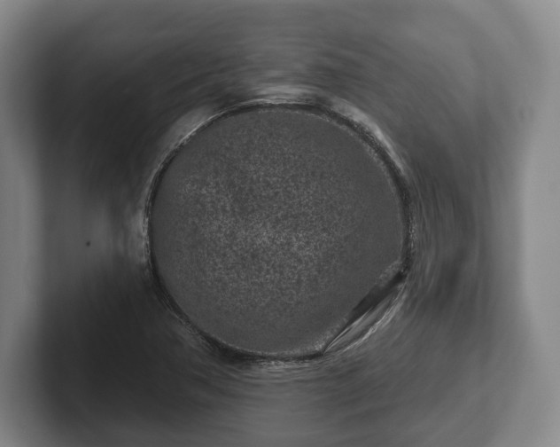 X0000102461362200808151358