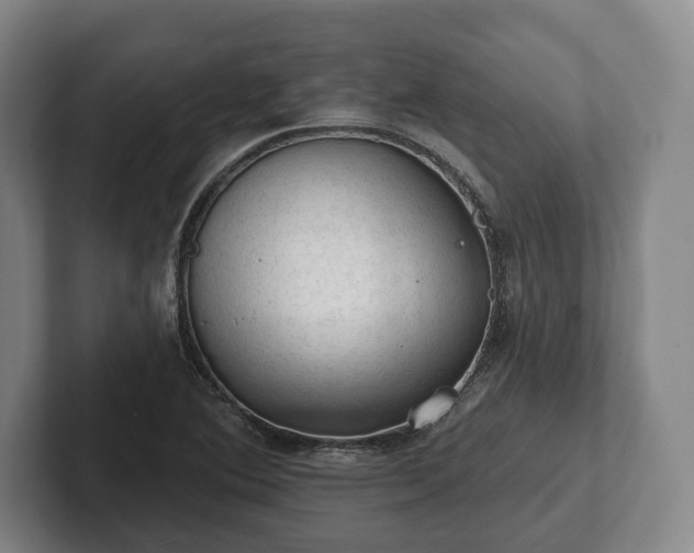 X0000102461364200808151358