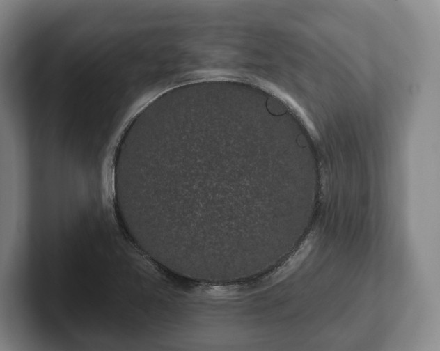 X0000102461365200808151358